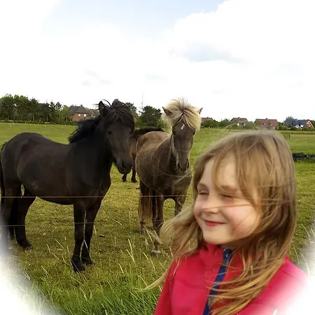 Lejlighed Haus Silbermowe 03 Wyk auf Föhr