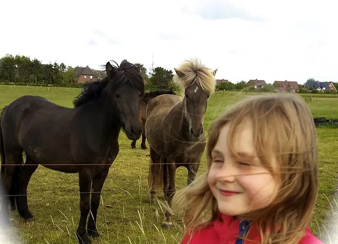 Appartamento Haus Silbermowe 03 Wyk auf Föhr